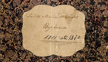 256